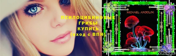 ECSTASY Алексин