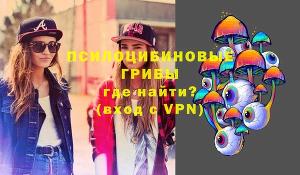 амф Абаза
