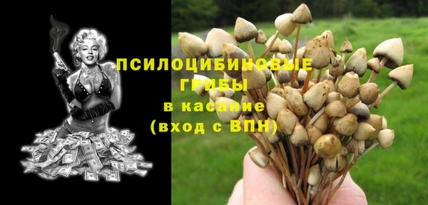 a pvp Абинск